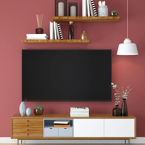 Vancouver TV Mounting